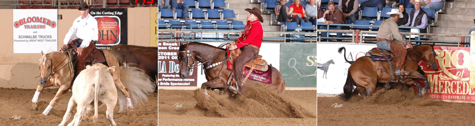 Snaffle Bit Champions