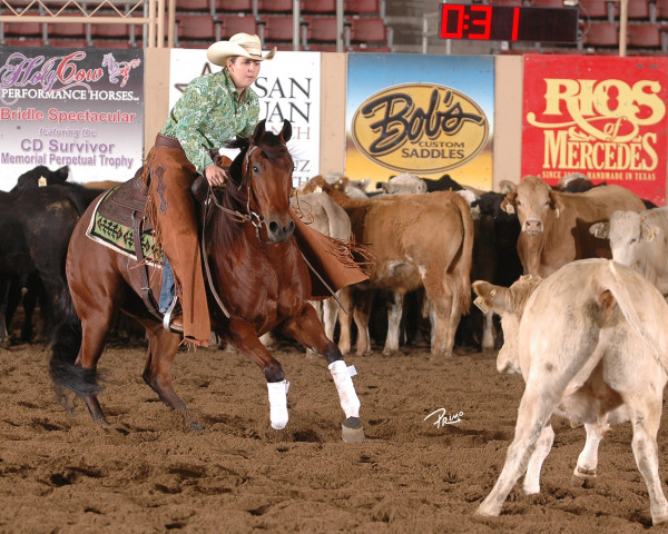 Nicole Petty and Tangy Chexinic were the first NRCHA Futurity Non-Pro Limited Champions.