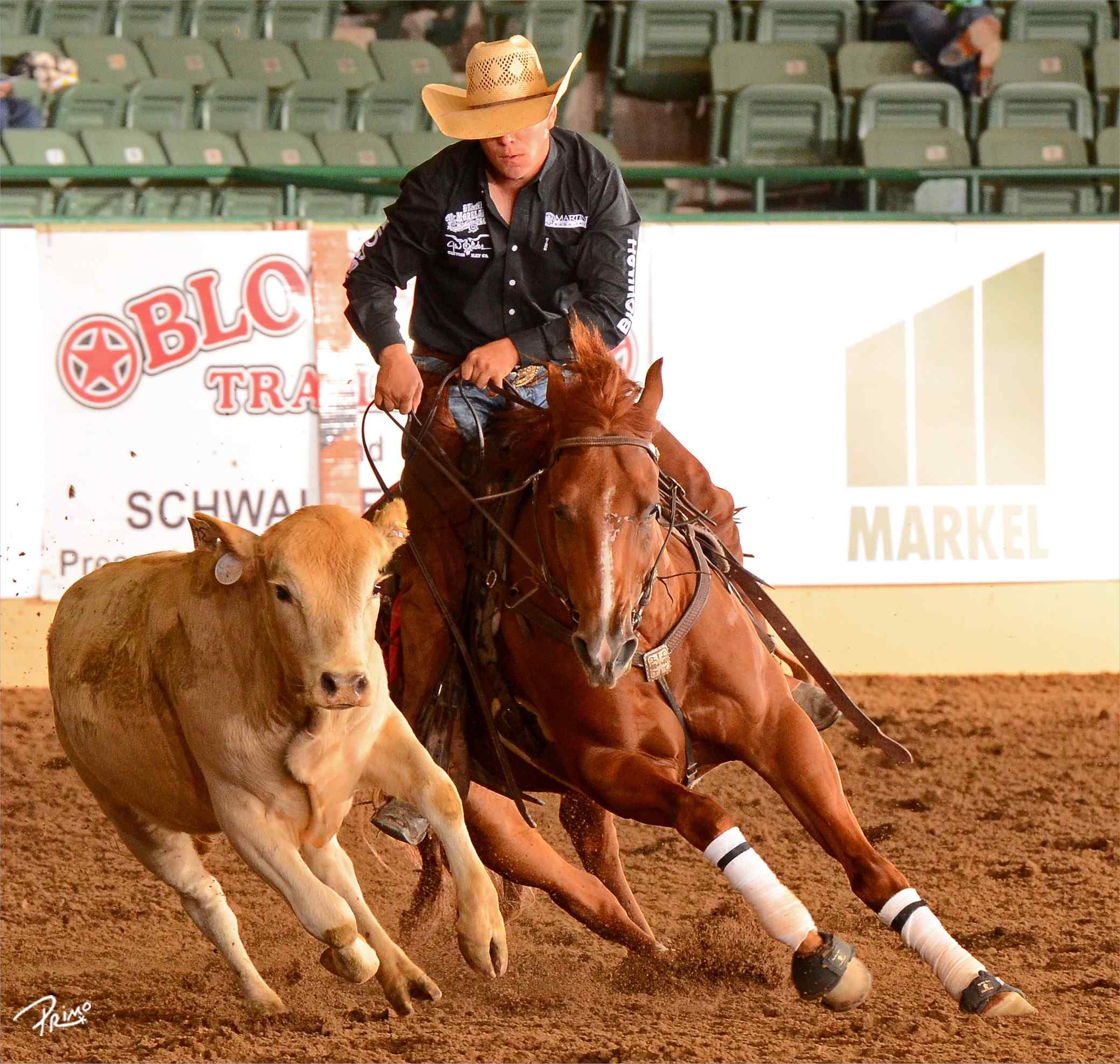 2017 Snaffle Bit Futurity National Reined Cow Horse Assocation