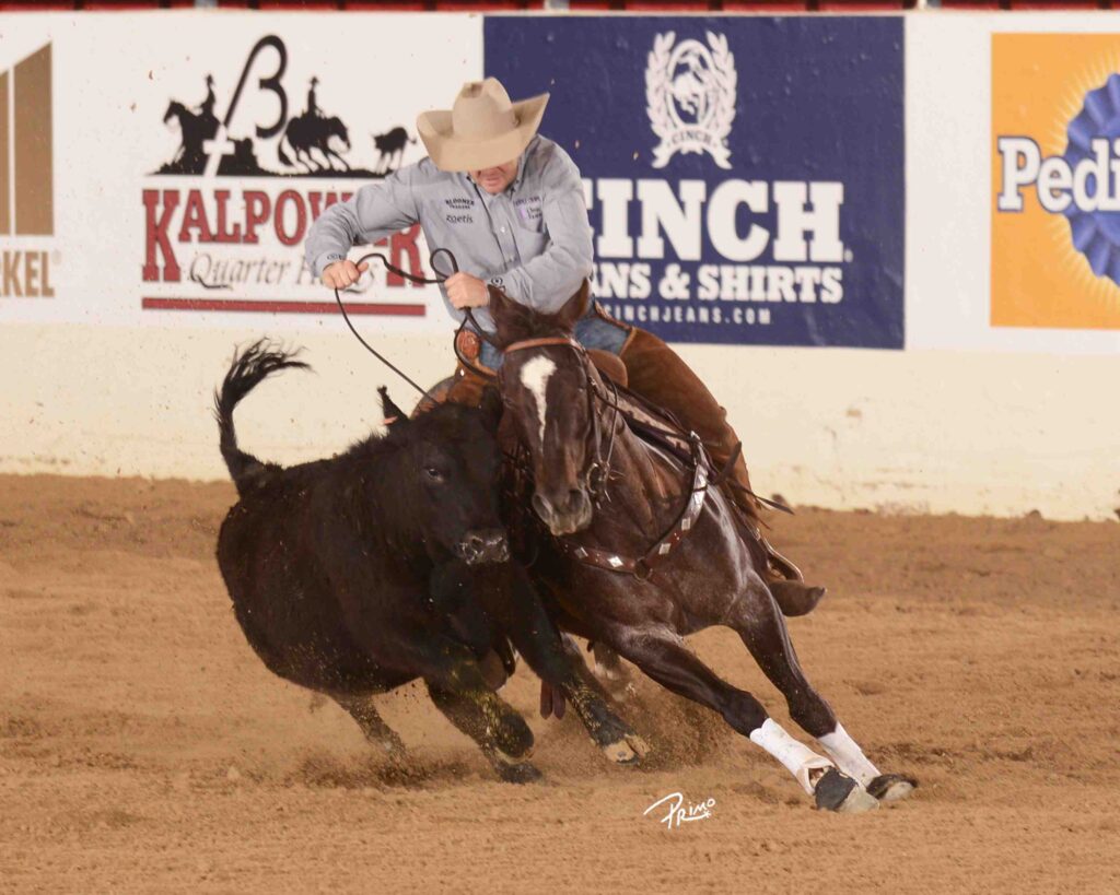 nrcha stallion stakes National Reined Cow Horse Association