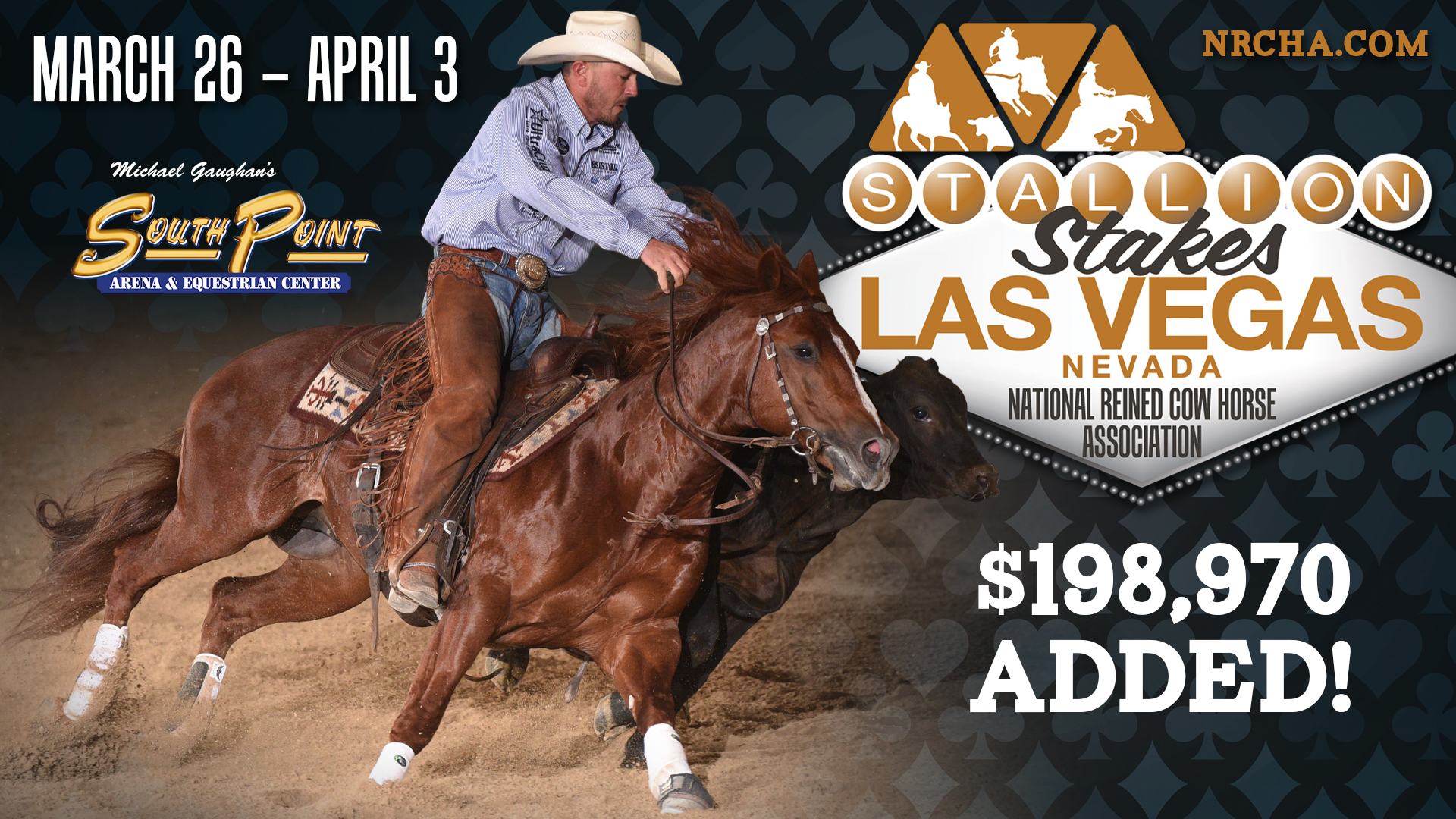 Shows In Progress National Reined Cow Horse Association