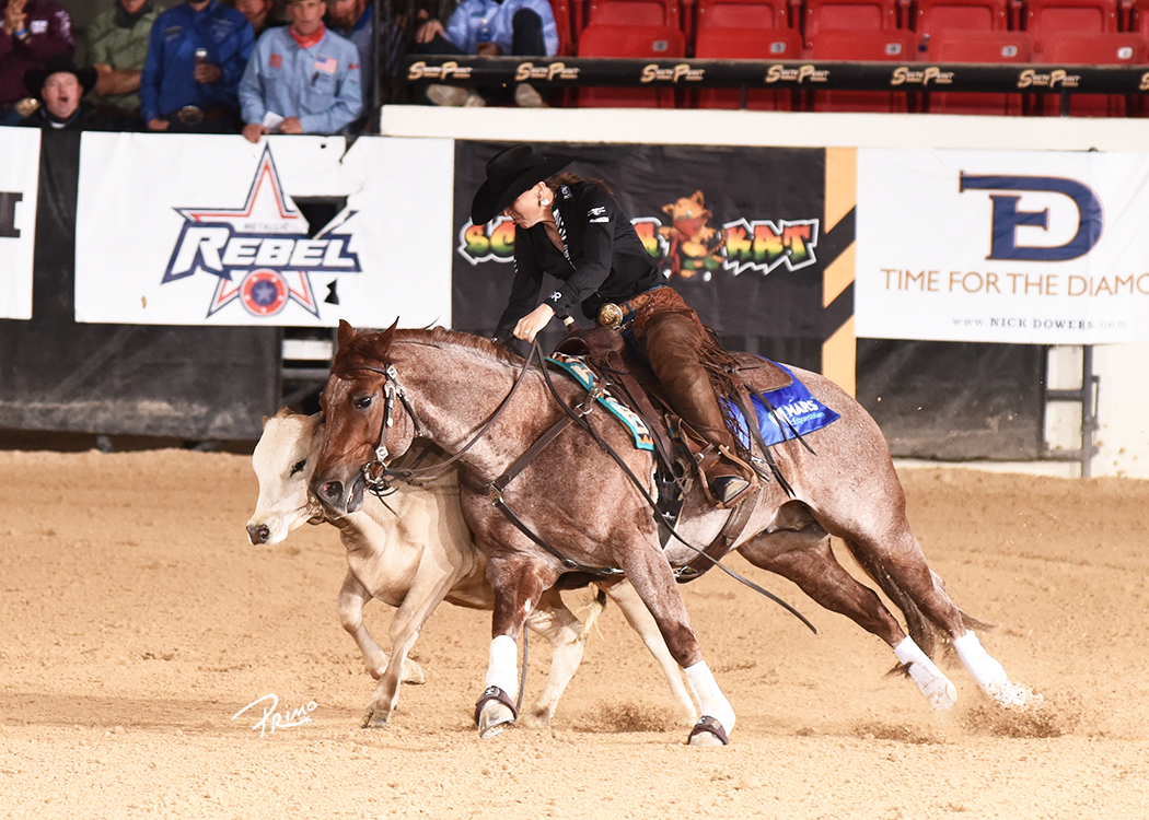 2021 NRCHA Stallion Stakes National Reined Cow Horse Association