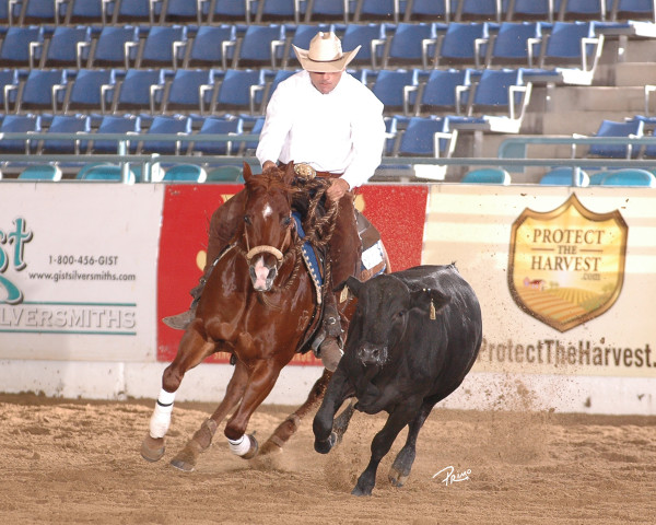 Non-Pro Horse Show Champions Crowned at 2013 NRCHA Snaffle Bit Futurity ...