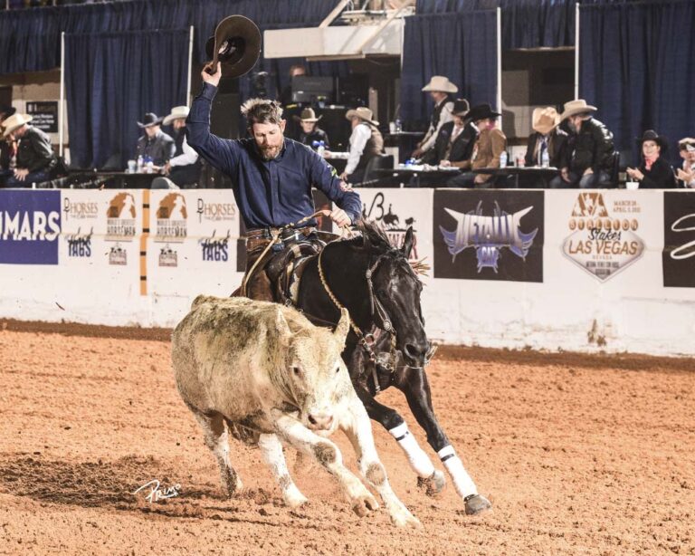 2022 Celebration of Champions National Reined Cow Horse Association