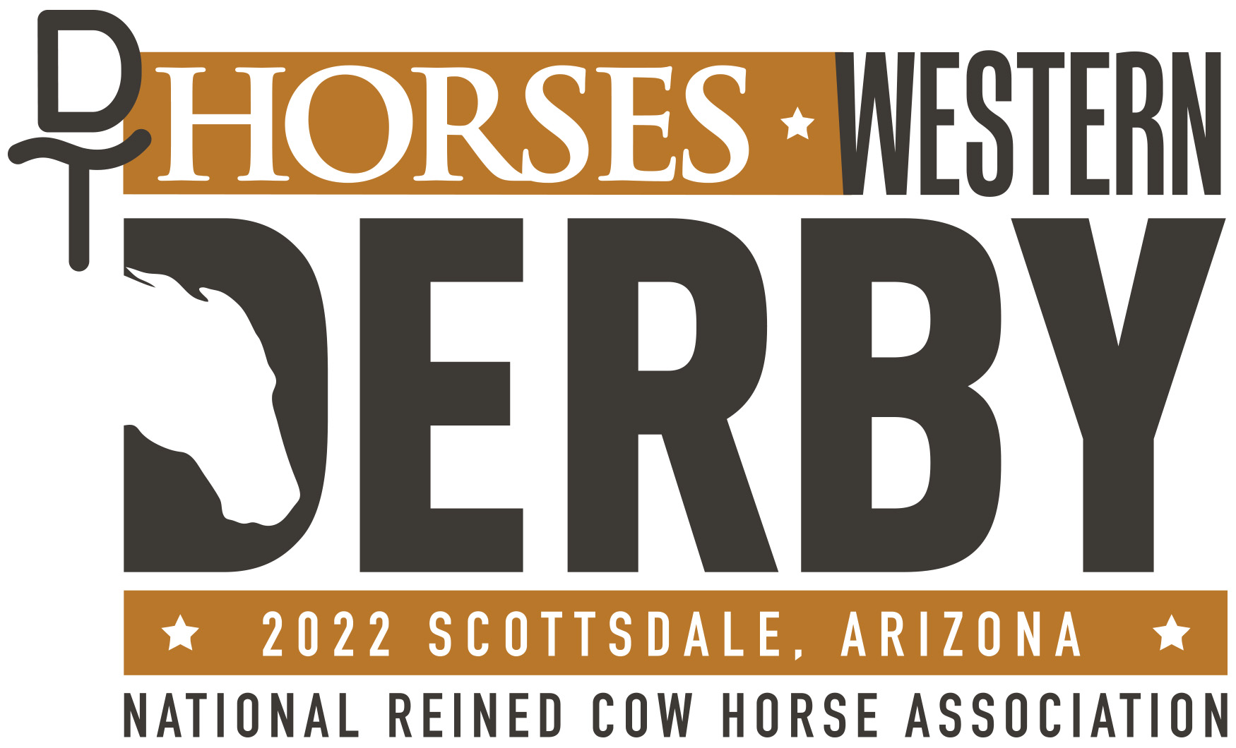 THE LARGEST NRCHA DT HORSES WESTERN DERBY CONCLUDED IN ARIZONA