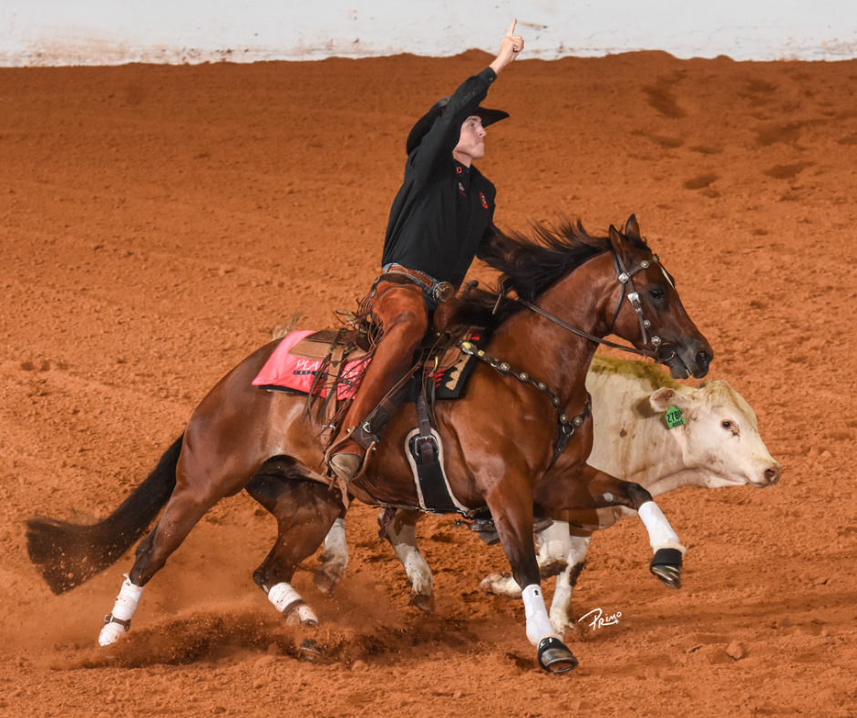 NRCHA Wraps Banner Year with RecordBreaking Snaffle Bit Futurity