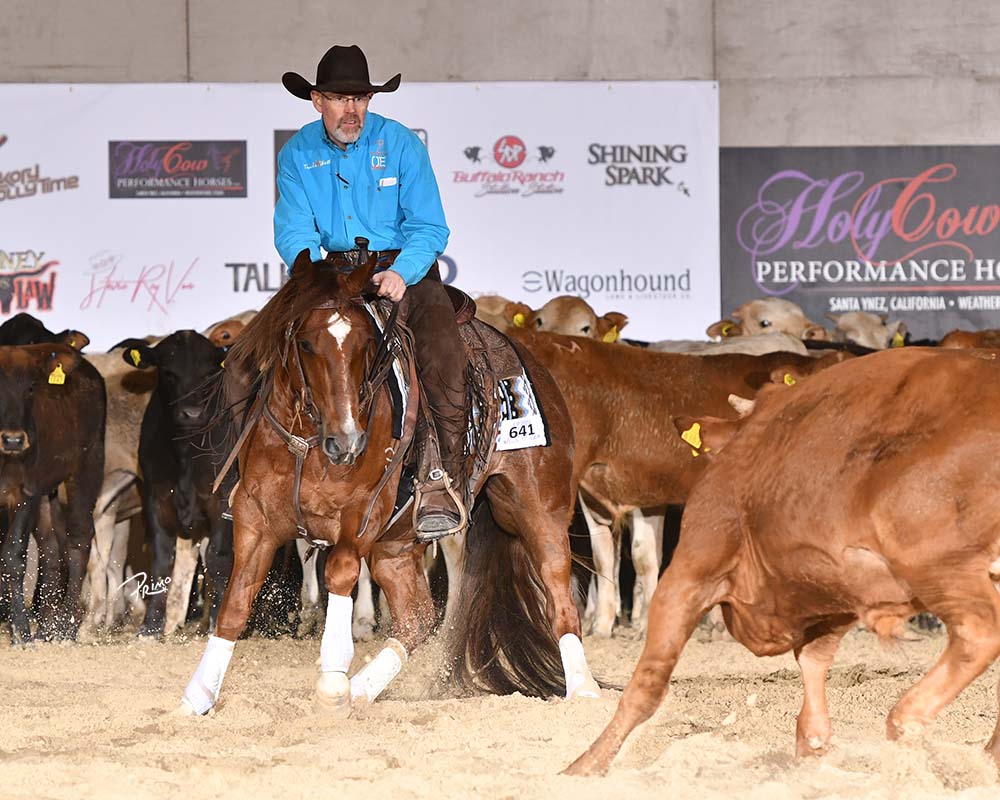 This Cats The Mark National Reined Cow Horse Association