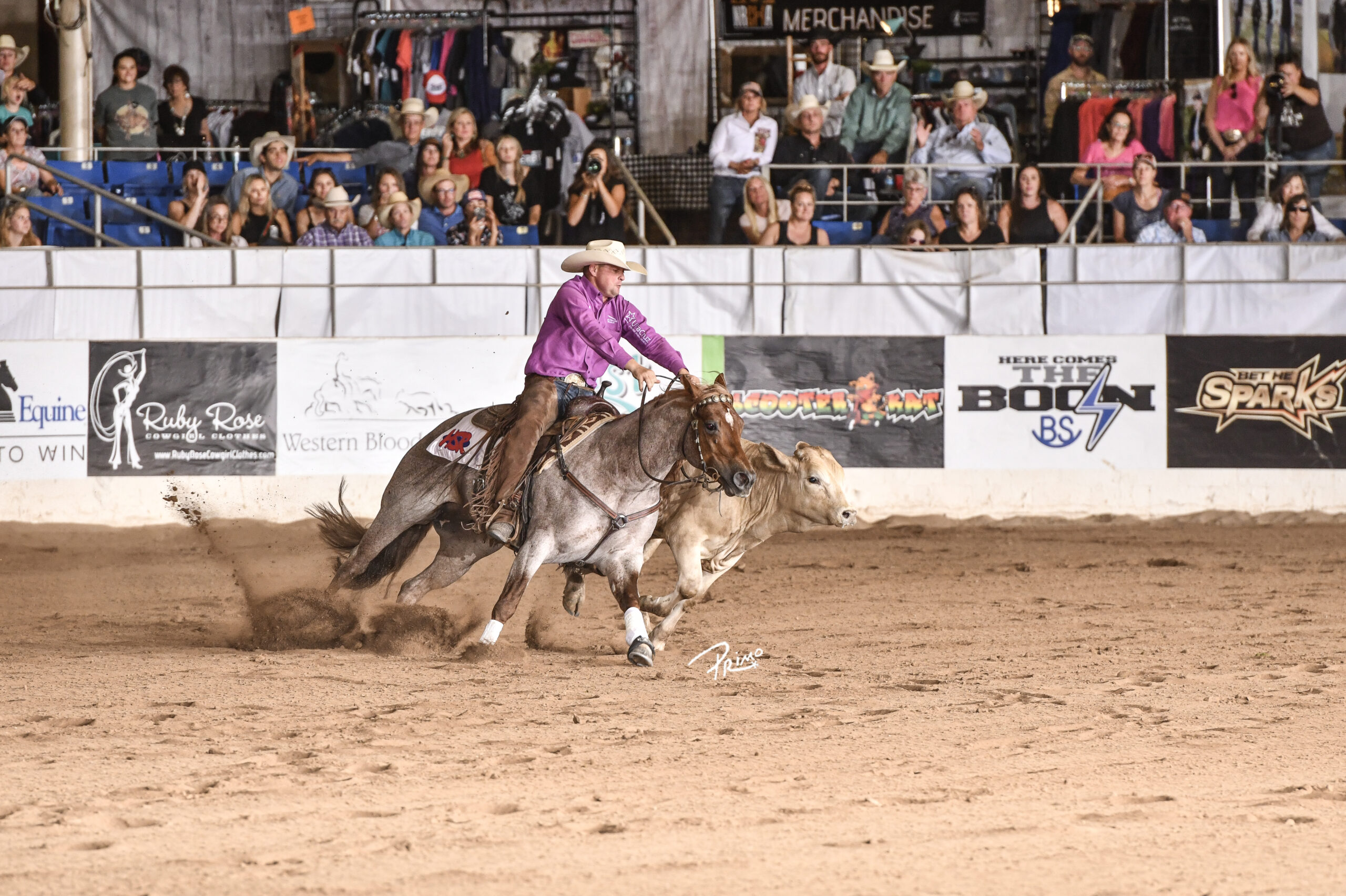 Metallic Casanova - National Reined Cow Horse Association